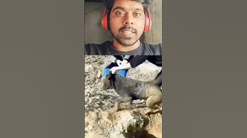 wait 4 end 😂😂🤪#trending #reaction #viral #video #ytshorts #youtubeshorts #shorts