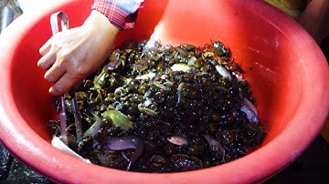 Nghề "Bà Cậu" Giữa Cánh Đồng Mùa Nước Nổi 2022 | Nét Quê #372