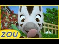 Take care of nature with zou  special compilation  1 hour  zou in english   cartoons