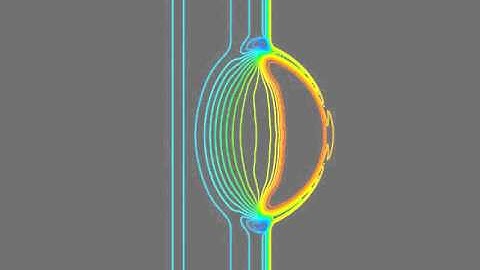Euler