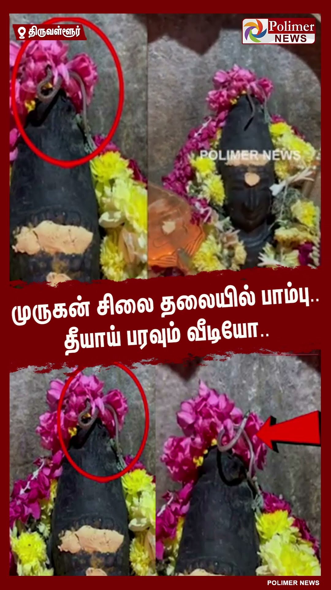 முருகன் சிலை தலையில் பாம்பு.. தீயாய் பரவும் வீடியோ..#snake | #thiruvalluvar | #vinayagar | #statue