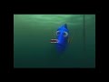 Finding Dory "Arabic Version" - Pt1 - Narrated by: WESSAM SALEH