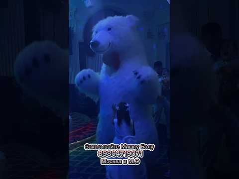 ОТ ТАКОГО ПОЗДРАВЛЕНИЯ ШОКИРОВАНЫВСЕ!!! Поздравление от белого медведя #cute #поздравление
