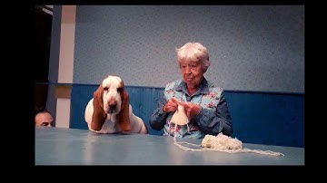 Making-of filmpje voor de promocampagne voor de nieuwe site 