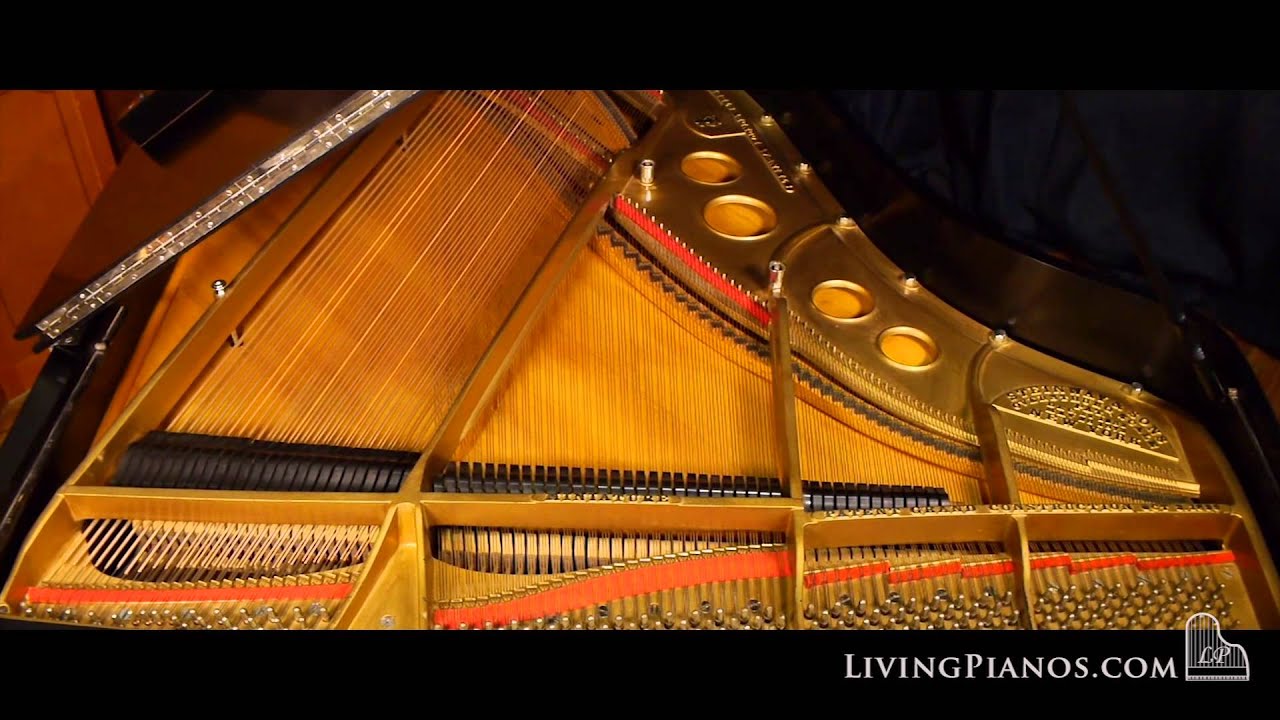 Steinway Model O Grand Piano for Sale – Premium Used Steinway Pianos