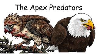 Every Eagle Explained in 5 Minutes