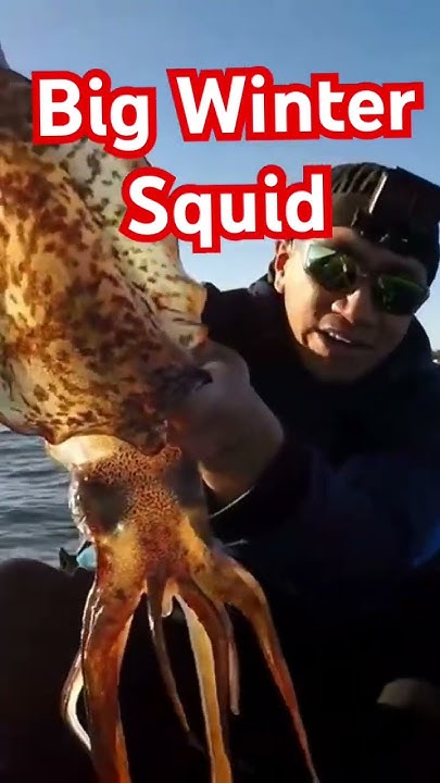 Big Winter Squid #fishing #squid #perthfishing #fish - YouTube