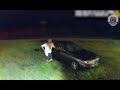 QLD Police Footage Shows DUI Offences Across the State