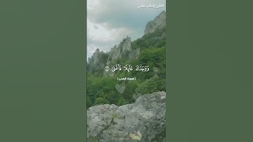 سورة الضحى _ القارئ إسلام صبحي
