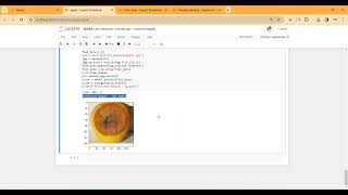 Apple Fruit Disease Detection Jupyter in Python Projects