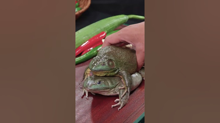 I was bitten by a frog