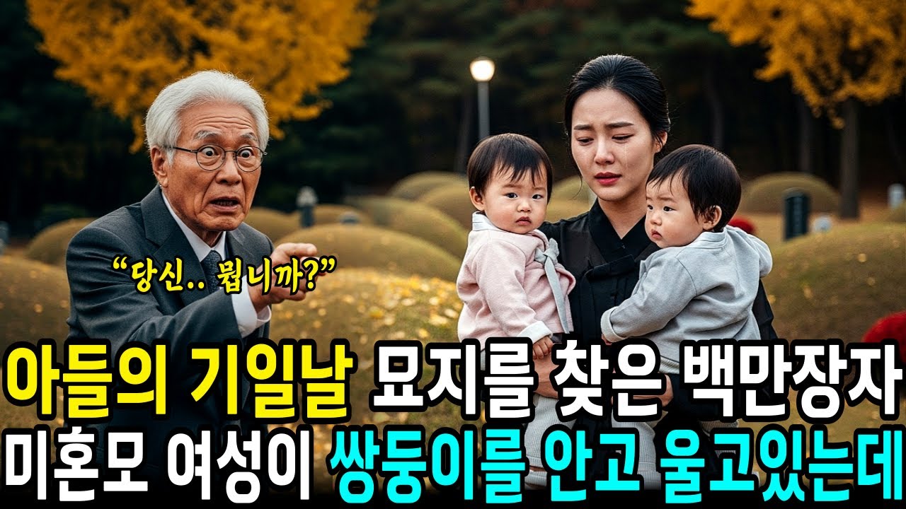 아들의 기일날 묘지를 찾은 재벌 회장 싱글맘 여성이 쌍둥이를 안고 울고 있는데.. | 사연라디오 | 오디오북 | 삶의지혜 |