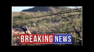 Senate Candidate Kelli Ward Demands Wall Built After Border Patrol Agent Shot and Attacked