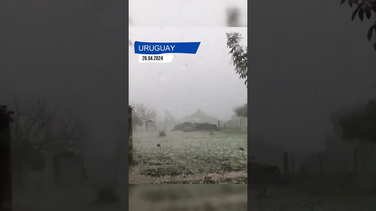 Ein gewaltiger Hagelsturm mit Körnern von bis zu 8cm hat in Uruguay massive Verwüstungen angerichtet