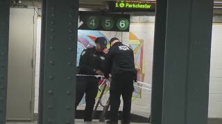 Man fatally pushed onto subway tracks in East Harlem: NYPD