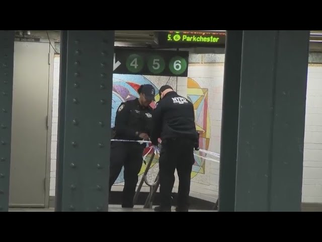 Man Fatally Pushed Onto Subway Tracks In East Harlem Nypd