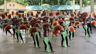 FolkDance Grade 8-Sua ku Sua | Champion