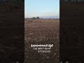 2.5 Acres Land For Sale శ్రీ భూమాత రియల్ ఎస్టేట్Contact : 88977 66444