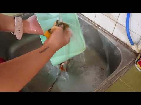 清洗Ranuazoo翻轉食物包
