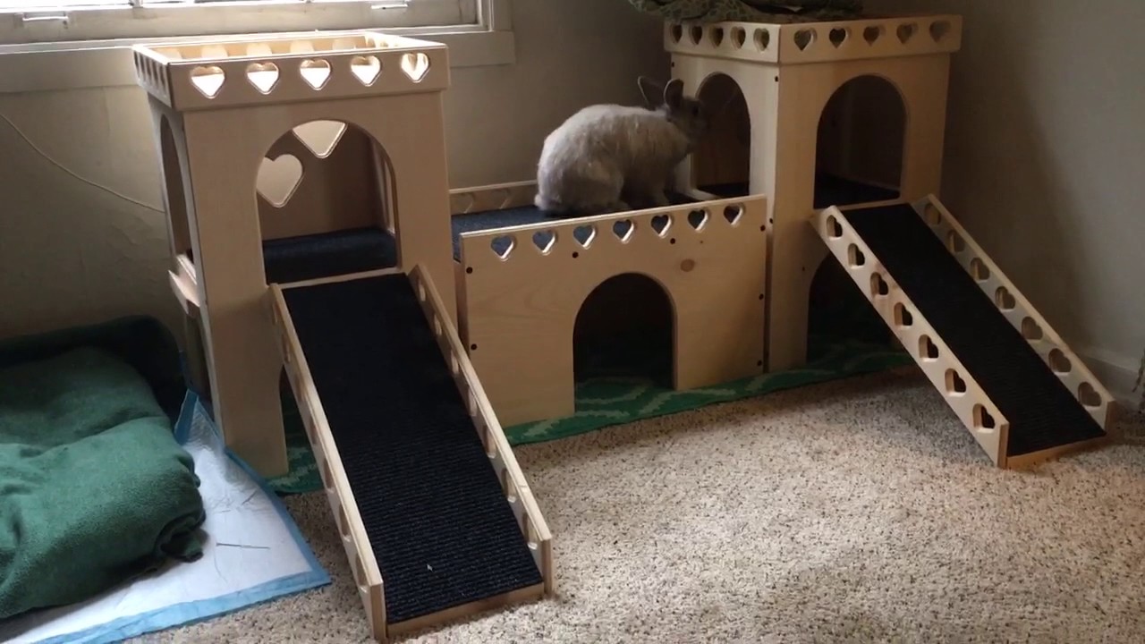 Bunny Castle! YouTube