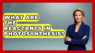 What Are The Reactants In Photosynthesis? - The Plant Enthusiast