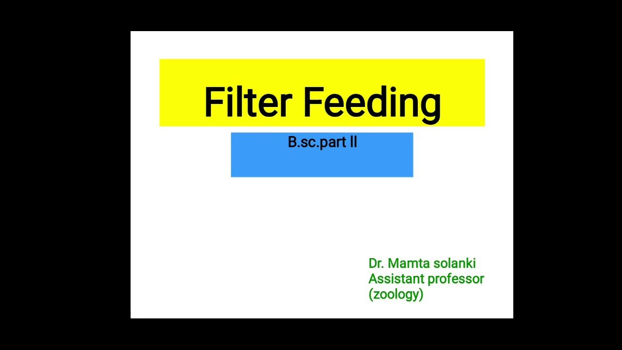 Filter feeding in Unio YouTube