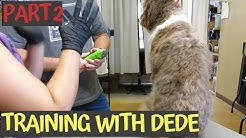 I'm a Fire Fighter I need help grooming my Aussiedoodle PT2