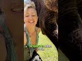 Making elephant foot prints! #Elephant #Animal #AnimalLover #ElephantFootprint #ElephantCare ￼