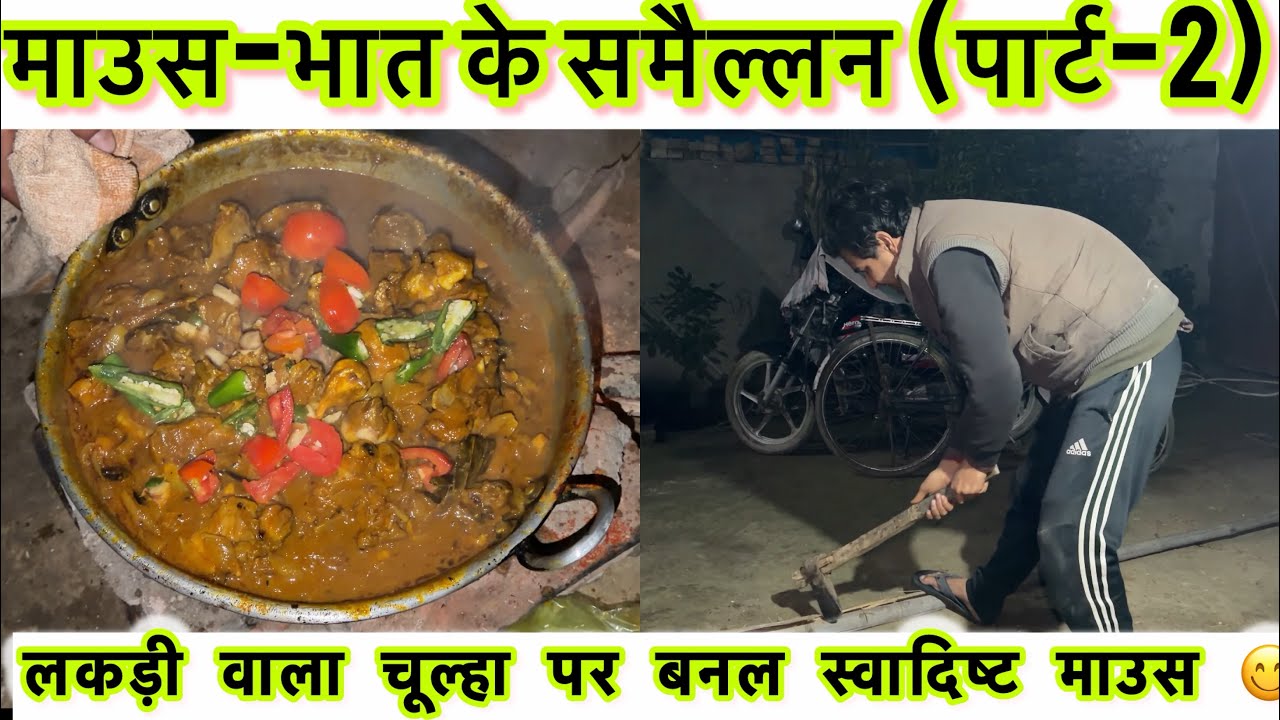 माउस-भात के समैल्लन (पार्ट-2) ,लकड़ी