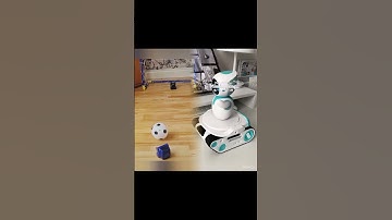 Vector robot plays with boxer robot #vector #vectorrobot #boxer #airobot