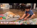 【日常Vlog】坊っちゃん初のテレビゲーム🎮✨→おもちゃ遊び🚃✨→ママと次女のバレー特訓🏐…最後までゆっくりできないおいも🐕💧【おいもと坊っちゃんの日常#281】