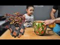 Karpuz ve Çimento ile Saksı yapımı & DIY Flowerpot with Watermelon and Cement