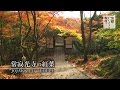 常寂光寺の紅葉 / Jojakko-ji Temple / 京都いいとこ動画