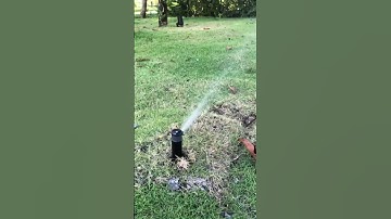 Cận cảnh béc tưới cỏ pop-up lúc hoạt động #shorts