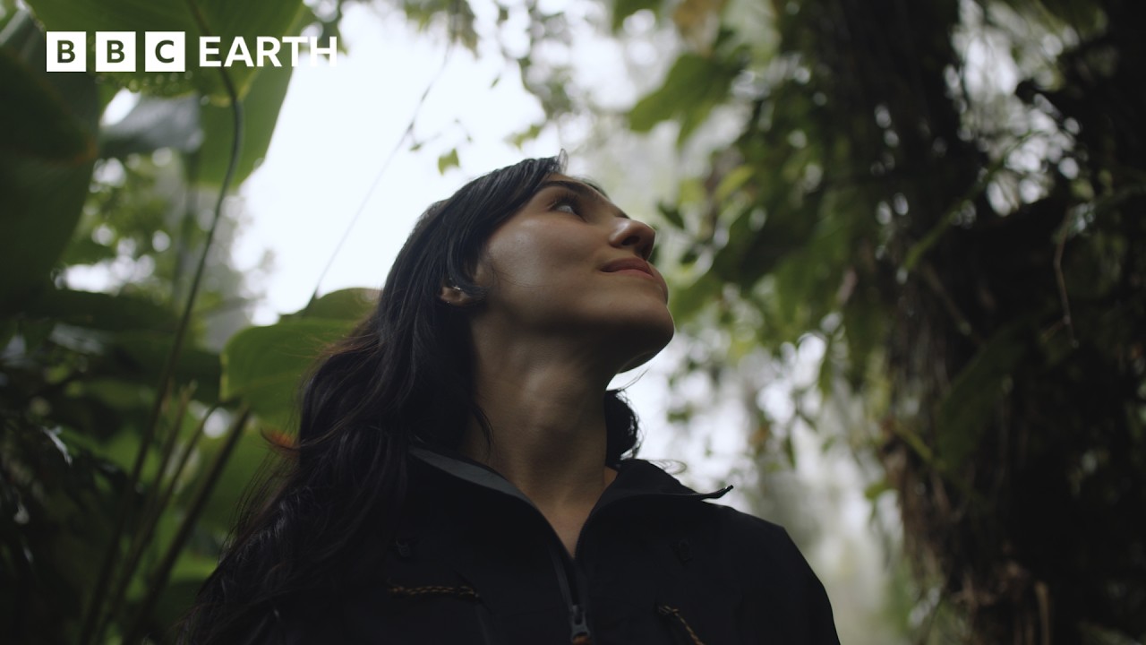 Play: A Day With a Wildlife Photographer in Brazil's Atlantic Forest