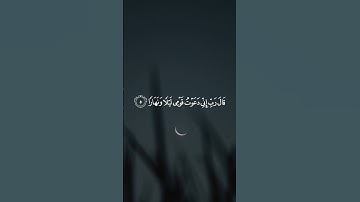 قَالَ رَبِّ إِنِّي دَعَوْتُ قَوْمِي لَيْلًا وَنَهَارًا ||سورة نوح #ماهر_المعيقلي 🤍🌱