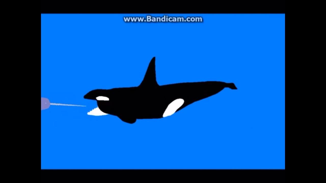 Killer whale vs narwhal scen of basilosaurus vs killerwhale vs