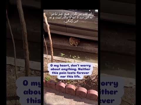 حقیقت اینه که تو افسرده نیستی بلکه باواقعیتی که دراون زندگی میکنی دست به گریبانی در این حصار بشکن