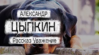 Александр Цыпкин рассказ 