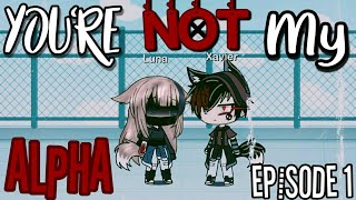 You're Not My Alpha || Episode 1 || Gacha Life Series || Discontinued || screenshot 4