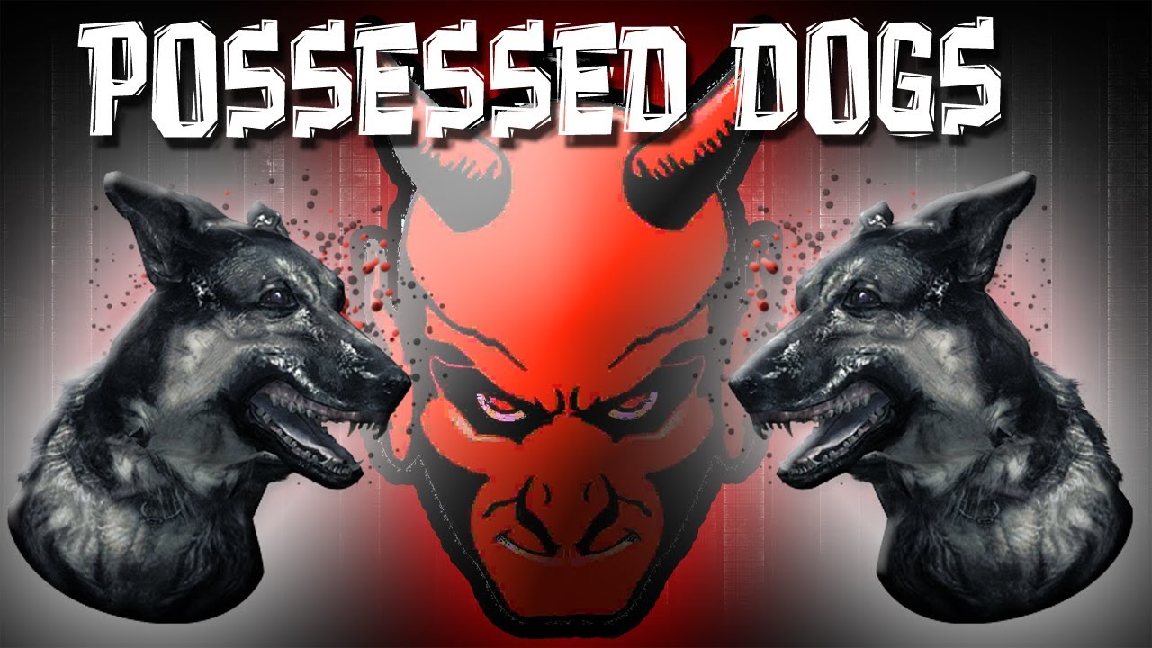 Black Ops: Possessed Dogs!