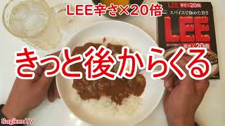 超辛、激辛レトルトカレー、LEE辛さ×20倍ビーフカレー食べました【江崎グリコ】