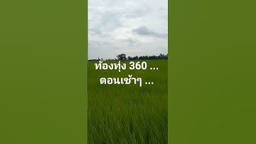 #ท้องทุ่งอันสดชื่นใจ #โคกหนองนา #เกษตรไทย
