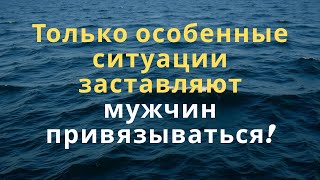 :         ..