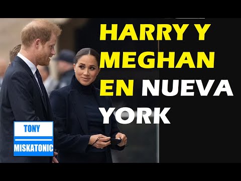 Vídeo: Príncipe Harry E Meghan Markle Adotam Um Labrador