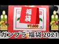 ガンプラ福袋2021 買ってみた ホビーゾーン 7,700円 竹 Hobby Zone lucky bug 2021