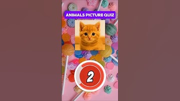 Quiz Time #triviatricks #quiz #amazing #riddlejourney #riddles #quiztime #mindbendingquiz #riddlesqu