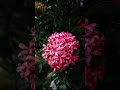 انما الصدقات للفقراء و المساكين و العاملين عليها ياسر الدوسري قرآن Quran Fyp Viral Reels انما الصدقات للفقراء و المساكين و العاملين عليها ياسر الدوسري قرآن Quran Fyp Viral Reels