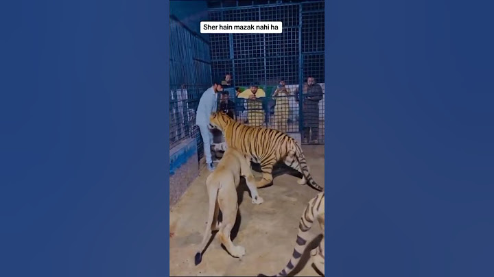 Lion &tiger attack on man in the cage😱😱🥲😳 #lion #animal
