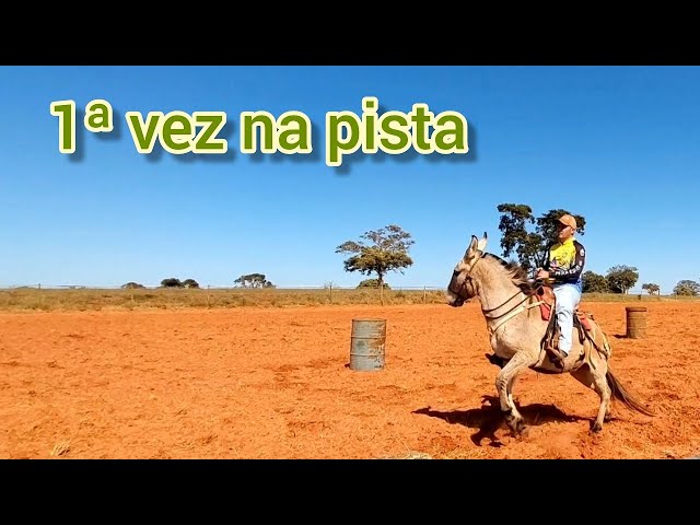 Montando em cavalo pela primeira vez (Com muitos pulos) 